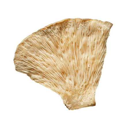 Ambergris