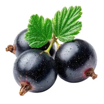 Blackcurrant