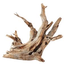 Driftwood