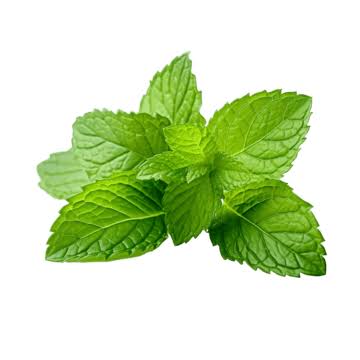 Mint