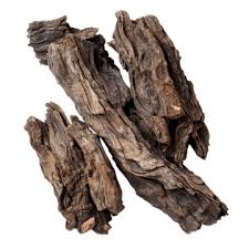 Oud