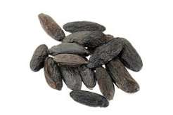 Tonka Bean